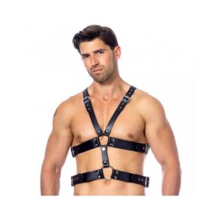 1 arnes de cuero ajustable