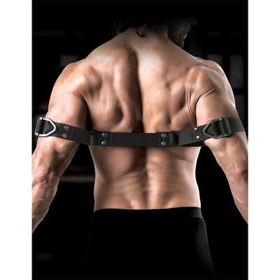 Correas para biceps Sir Richards 4