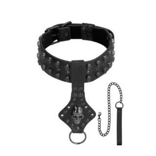 Collar y correa con calaveras Skulls and Bones