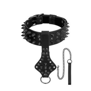 Collar y correa con púas Skulls and Bones 2