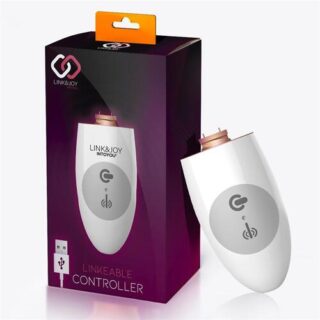 Controller USB LinkJoy