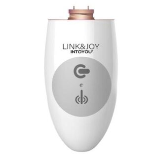 Controller USB LinkJoy 2