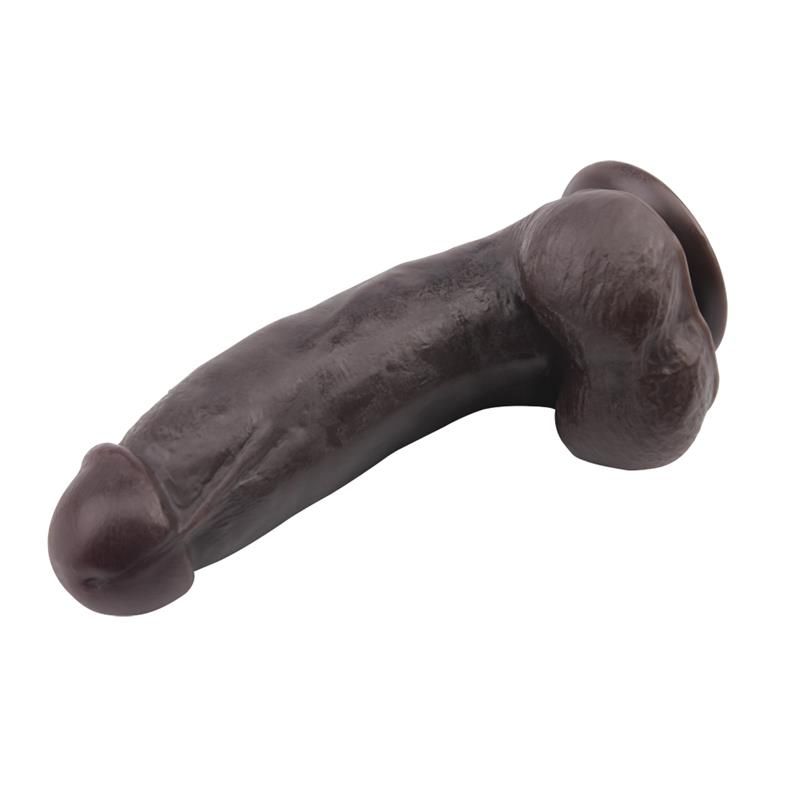 6 1