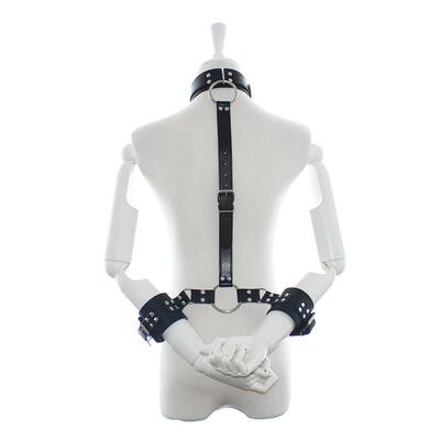 Collar con restricciones ajustable 2 5