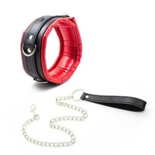 Collar con correa de metal e interior acolchado