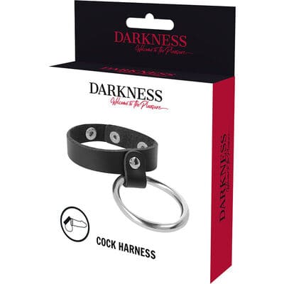 Anillo de metal para el pene y testiculos 4