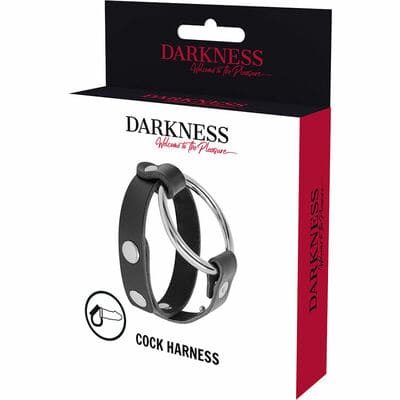 Anillo de metal para el pene y testiculos BDSM 4