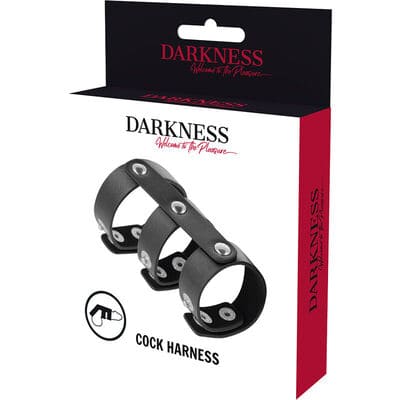 Anillo doble para el pene y testiculos ajustable 4