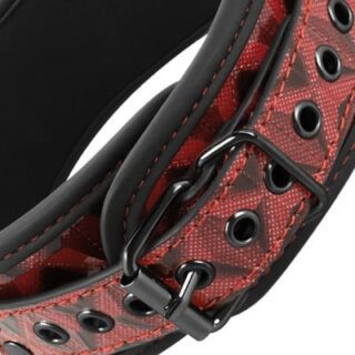 Collar con cadenas y pinzas para pezones 2