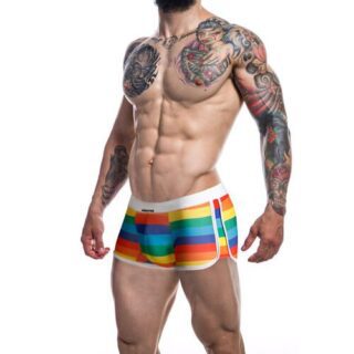 Boxer Trunk Rainbow