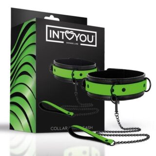 Collar con correa que brilla en la oscuridad