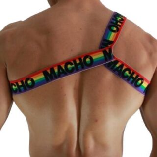 Arnés romano Pride Macho 2