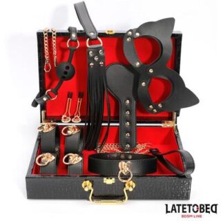Kit BDSM de 8 piezas con maletín 2