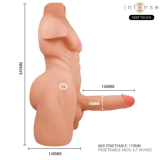 Torso dildo y ano Marty 2
